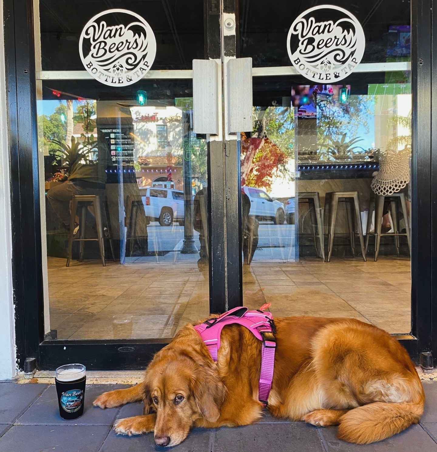 Dog relaxing outside Van Beers Bottle & Tap in Melbourne FL, a dog-friendly and family-friendly craft beer taproom